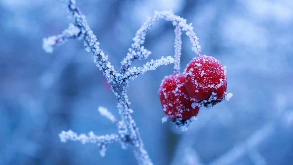 До 25 градусів морозу, сніг та ожеледь: українців попередили про погіршення погоди