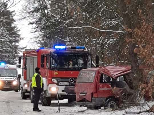 В Польше в ДТП с автобусом пострадали пять украинцев