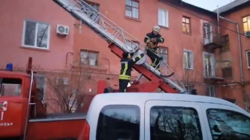В центре Запорожья спасли домашнего кота, который застрял на крыше (ВИДЕО)