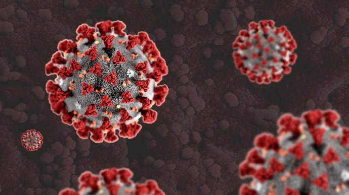 ВОЗ считает маловероятным, что коронавирус завезли в Китай извне