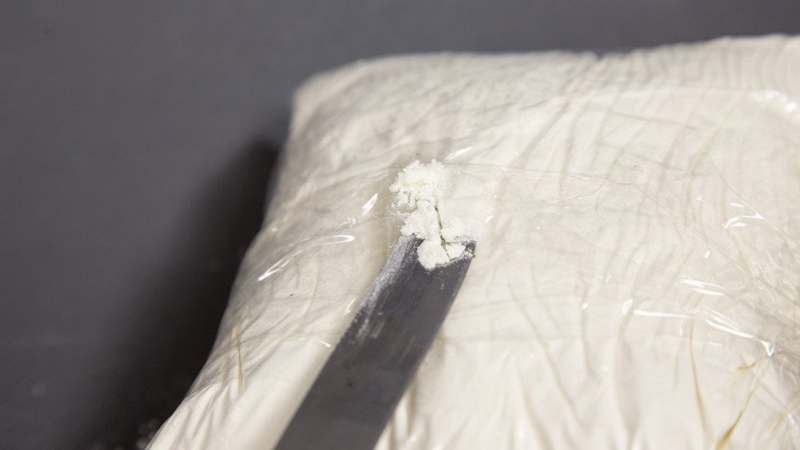В Европе изъята крупнейшая партия кокаина весом более 23 тонн