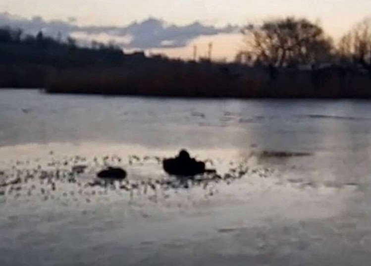 В Запорожской области спасатели вытащили рыбака провалившегося под лед