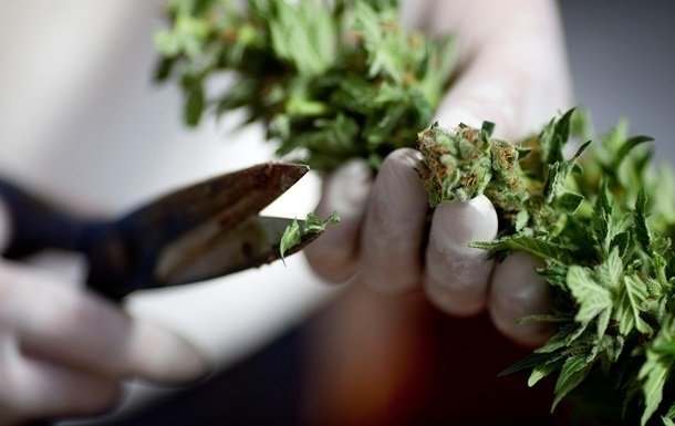 В Марокко полицейские изъяли более четырех тонн марихуаны