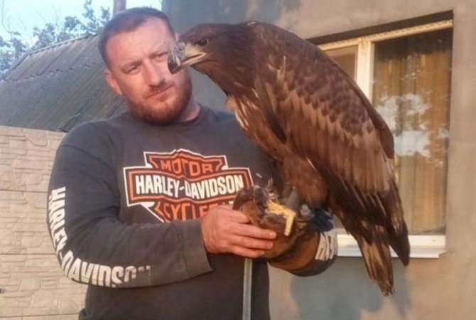 В Запорожской области спасли орлана, который застрял в ветках (ВИДЕО)