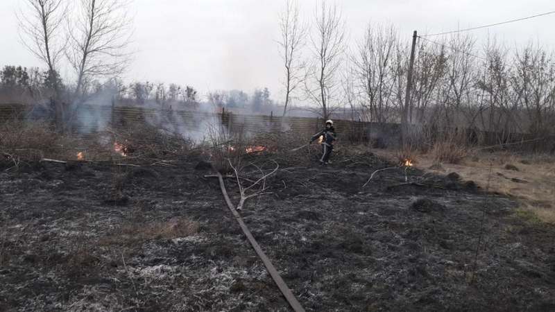 В Киевской области спасатели обнаружили останки женщины