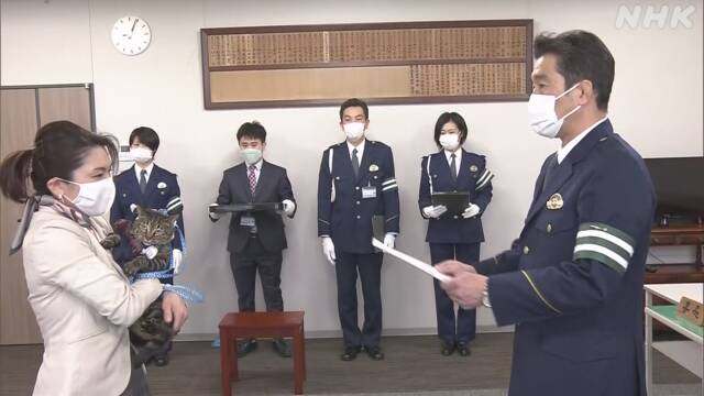 В Японии кошка на один день стала начальником полиции