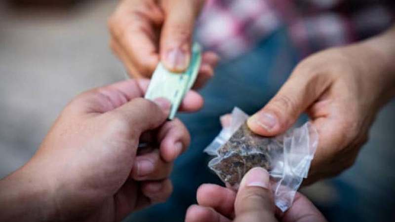Сайт наркотики и закладки афганская марихуана и семена