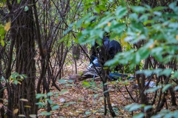В Киеве в кустах нашли труп обнаженной женщины