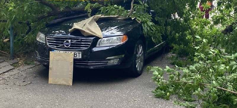 В Киеве на авто «героя парковки» упало дерево