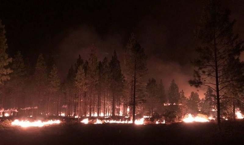 Масштабные лесные пожары бушуют в США (ВИДЕО)