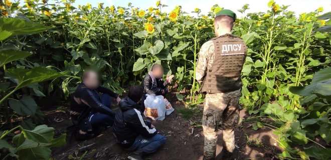 Прятались в подсолнухах: Пограничники задержали "вора в законе" на границе с РФ (ФОТО)