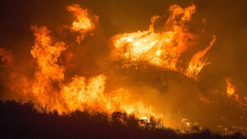 В Турции лесные пожары добрались к Анталье: есть пострадавшие (ВИДЕО)