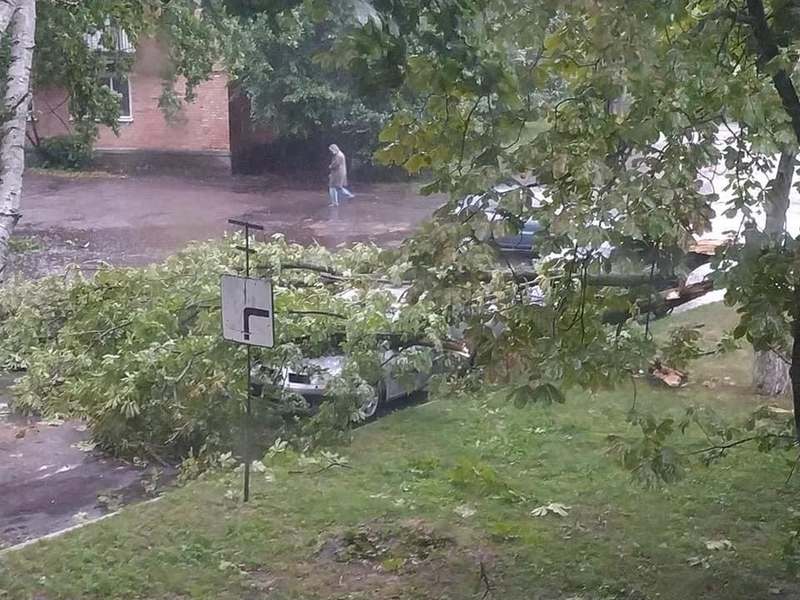 Ураган под Полтавой срывал крыши и деревья (ВИДЕО)
