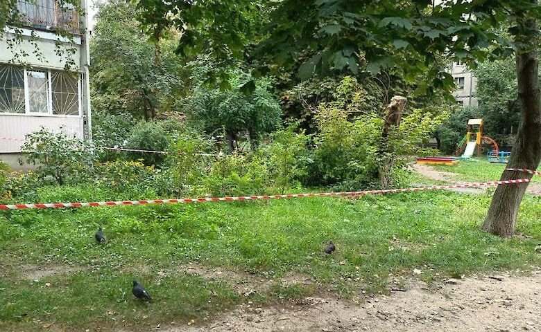 В Святошинском районе Киева на детской площадке убили женщину