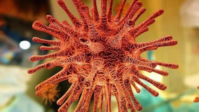 ВОЗ: почти полмиллиона европейцев могут умереть от коронавируса зимой