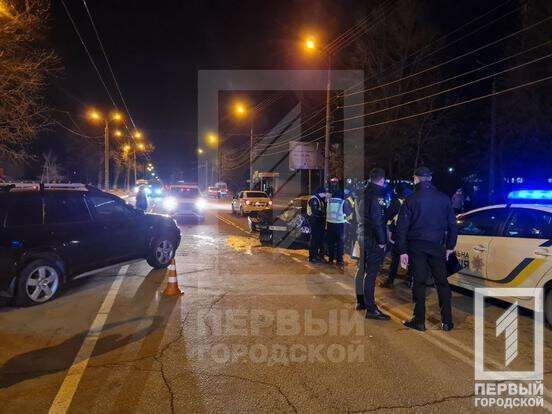 На Днепропетровщине неадекватный водитель после ДТП укусил полицейского (ФОТО)