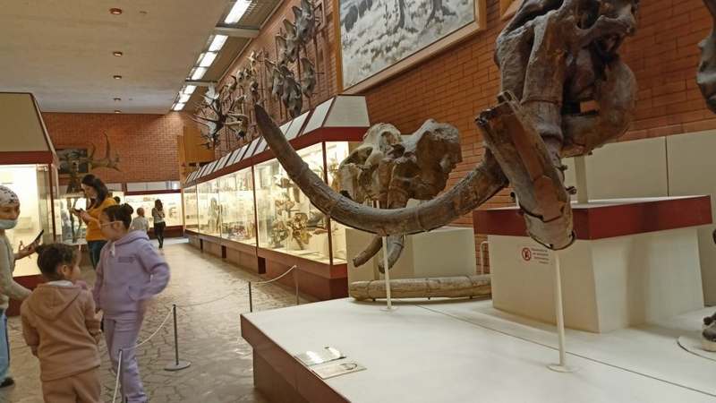 В Никопольском музее избили пенсионерку
