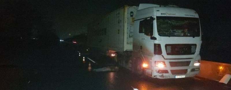В Николаевской области грузовик «МАN» сбил насмерть пешехода