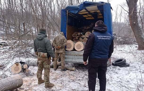 На Донбассе задержали группу "черных" лесорубов