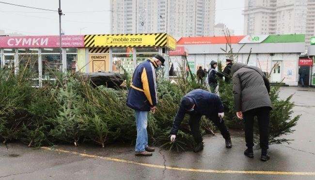 В Киеве продавцы оставили гору нераспроданных дорогущих елок просто на улице (ФОТО)