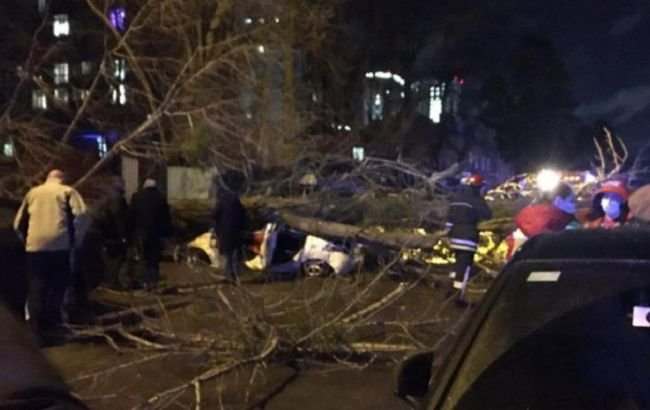 В Киеве упавшее дерево раздавило автомобиль с водителем (ВИДЕО)