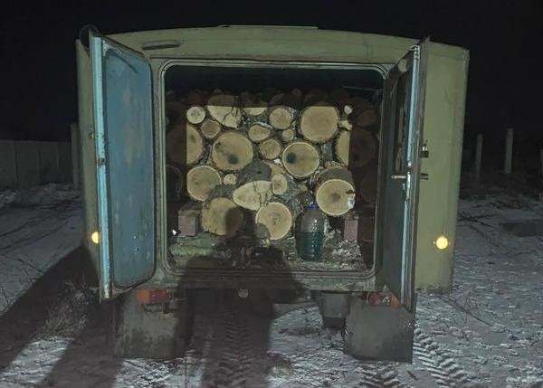 В Харьковской области в лесу задержаны "черные лесорубы"