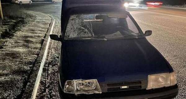 В Запорожье водитель под наркотиками сбил двух школьниц на переходе