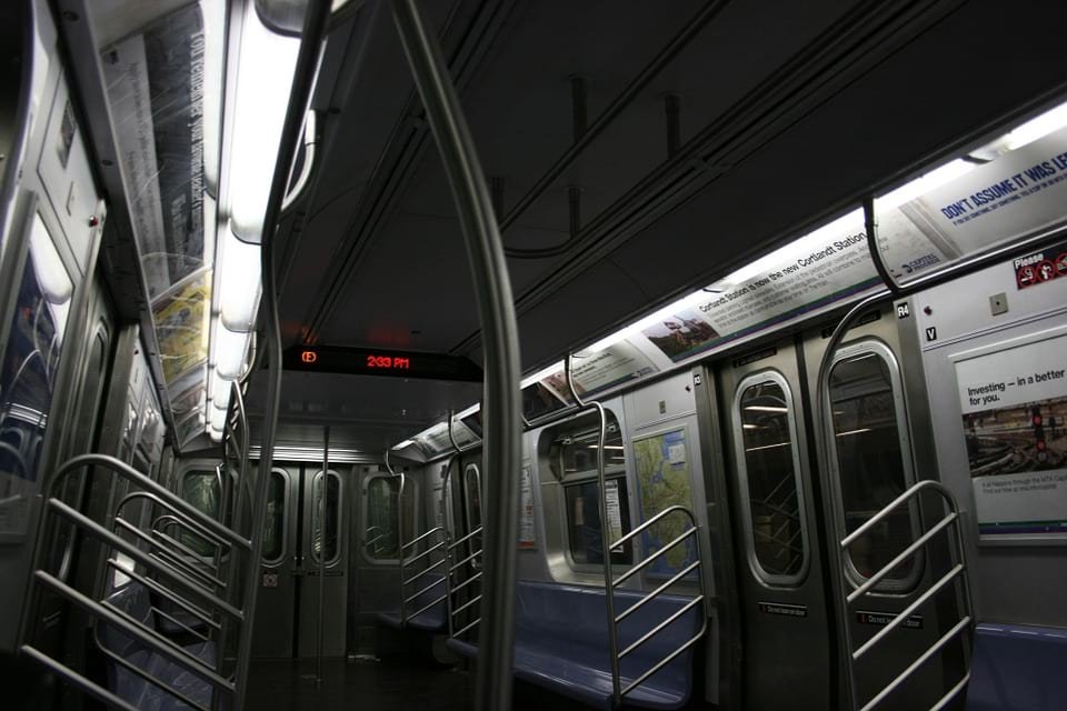 В метро Нью-Йорка залетел ястреб (ФОТО)