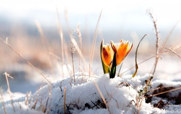 Синоптик рассказал, когда в Украину придет весна