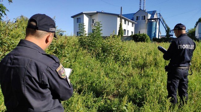 На Київщині повідомили про підозру п’ятьом фігурантам у справі із земельним шахрайством