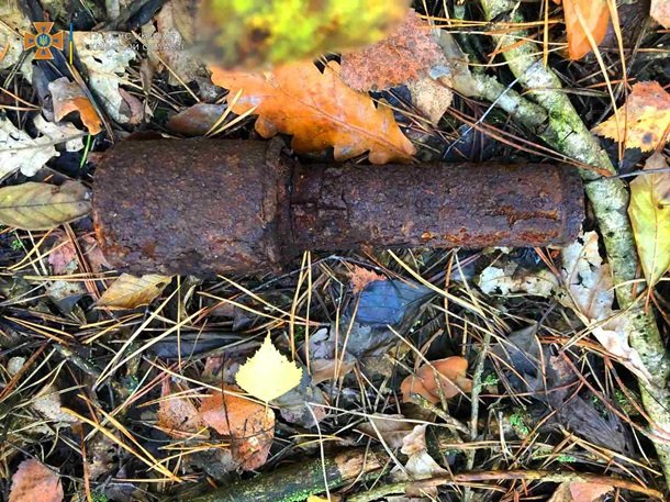 В Тернопільський області жінка знайшла у лісі гранату, якій понад 100 років