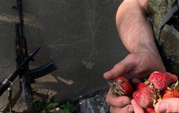 На Херсонщині окупанти наймаються на збір полуниці