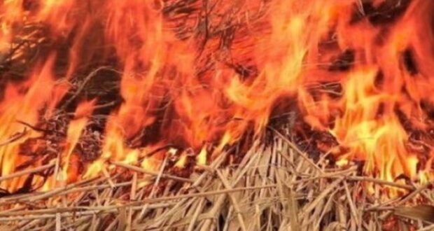 На Рівненщині в пожежі згоріли корми і домашні речі