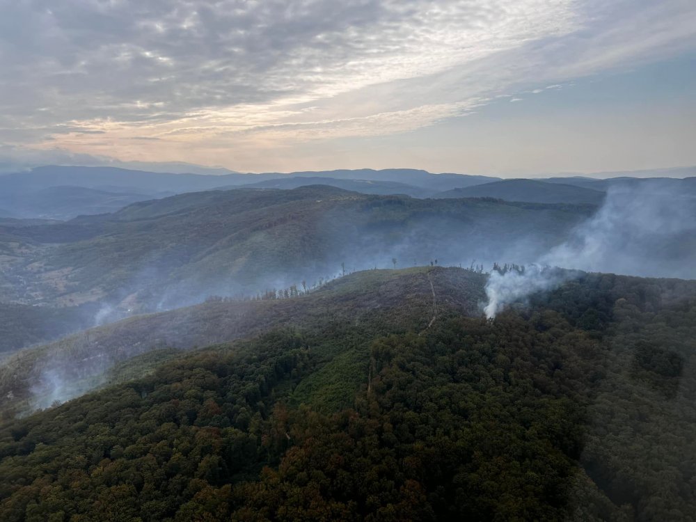 Третю добу на Закарпатті вирує масштабна лісова пожежа (ВІДЕО)