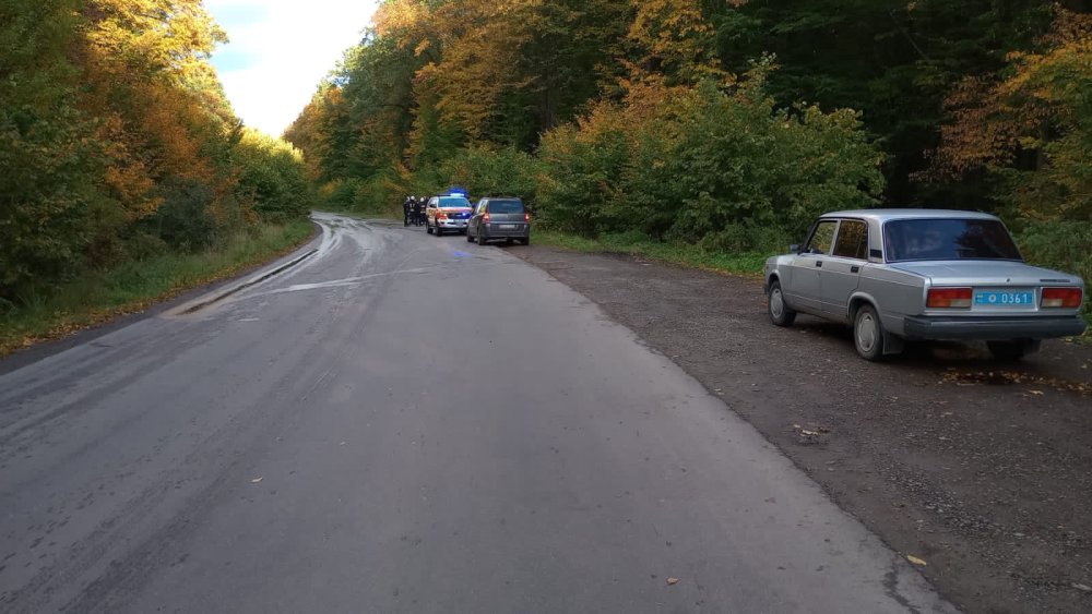 У ДТП на Львівщині легковик вилетів з дороги у лісопосадку, є загиблі та поранені (ФОТО)
