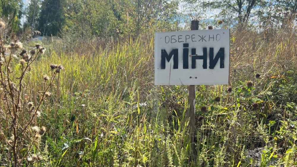Збирала гриби: на Харківщині жінка у лісі підірвалась на міні