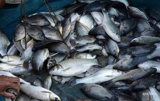 На Полтавщині поліція вилучила у банди браконьєрів улов риби на 16 млн гривень (ВІДЕО)