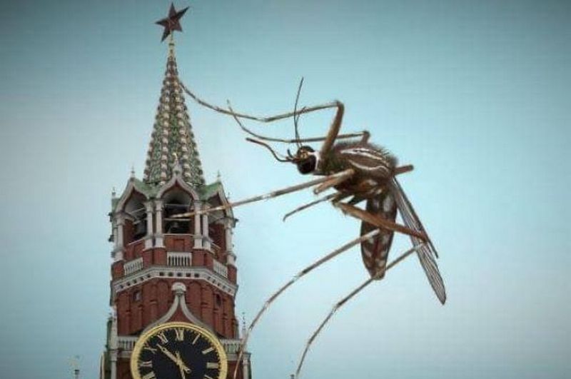 Москіти проти москалів: Резніков потролив російськи фейки про бойових комарів