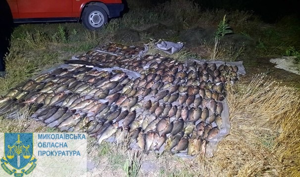 На Миколаївщині судитимуть браконьєрів, які наловили риби на мільйон гривень