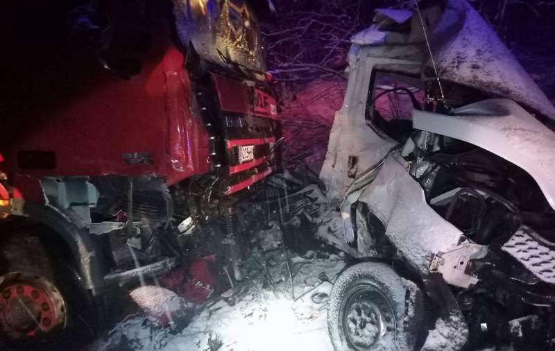 У Бучанському районі сталася смертельна аварія за участю лісовоза та вантажівки (ВІДЕО)