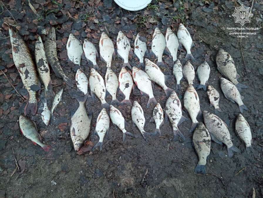 У Дніпрі браконьєр наловив риби на 65 тисяч гривень