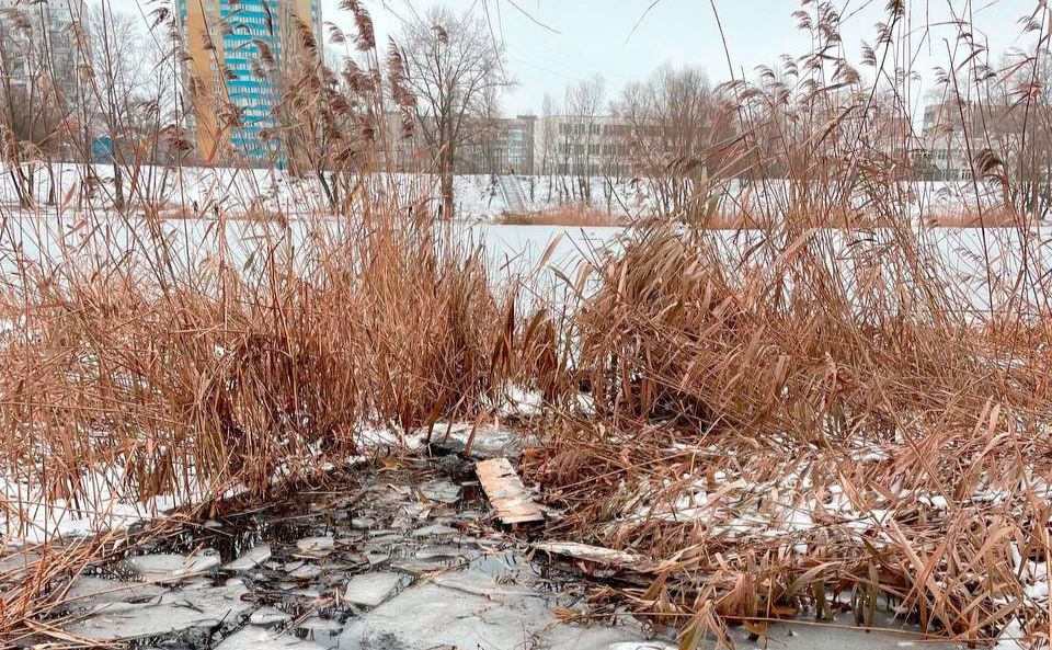Київські патрульні врятували чоловіка, що ледь не замерз на озері