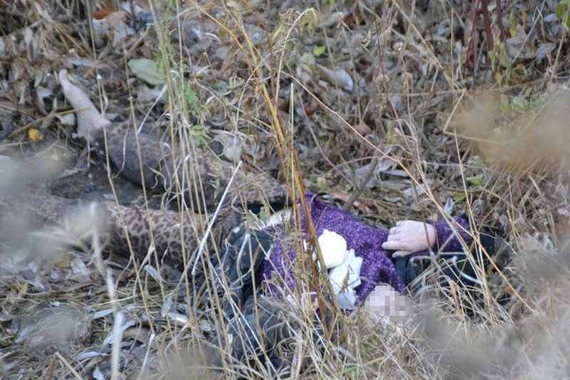 У Дніпропетровській області у дворі будинку знайшли труп жінки: у вбивстві підозрюють її сина