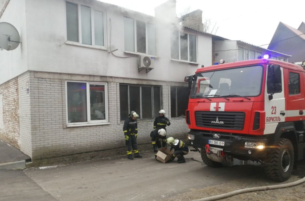 У Борисполі з палаючої квартири врятували чотирьох цуценят (ФОТО)