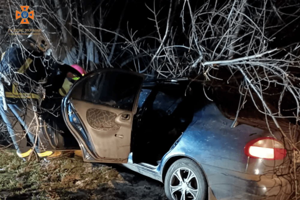 Водій загинув на місці: У Дніпропетровській області легковик влетів у дерево (ФОТО)