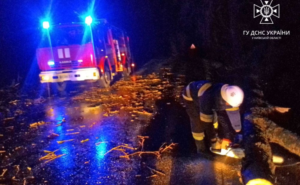 На Київщині повалене вітром дерево перекрило рух транспорту (ФОТО)