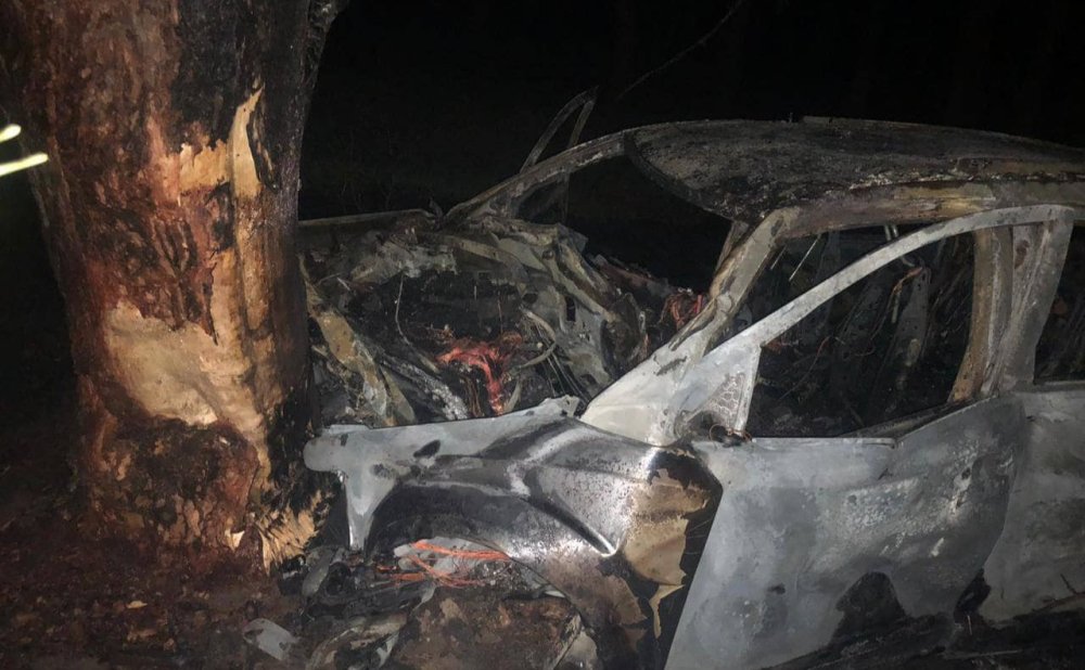 Зіткнувся з деревом і загорівся: на Броварщині сталась смертельна ДТП (ФОТО)