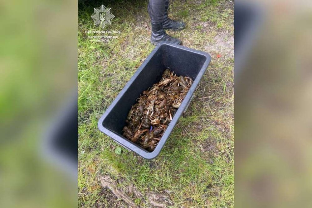 У Дніпропетровській області чоловік наловив раків більше ніж на 400 тисяч (ФОТО)