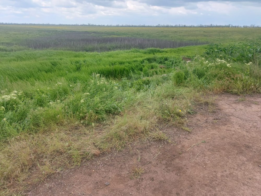 На Херсонщині помер у лікарні мотоцикліст, який перекинувся у кювет (ФОТО)