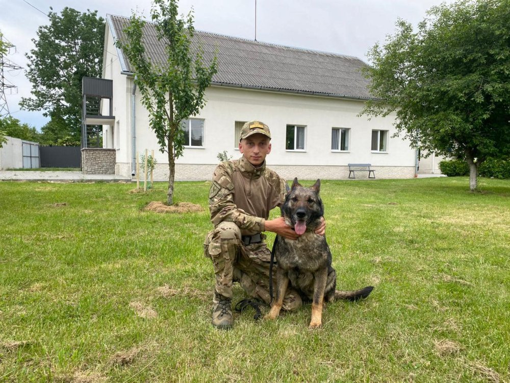 На Прикарпатті службова собака Гера відшукала зниклого пенсіонера, якому стало зле (ФОТО)
